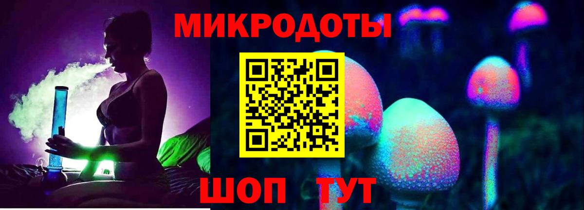 Сунжа  Галлюциногенные грибы MAGIC MUSHROOMS  Псилоцибиновые грибы Cubensis  Вход с VPN 